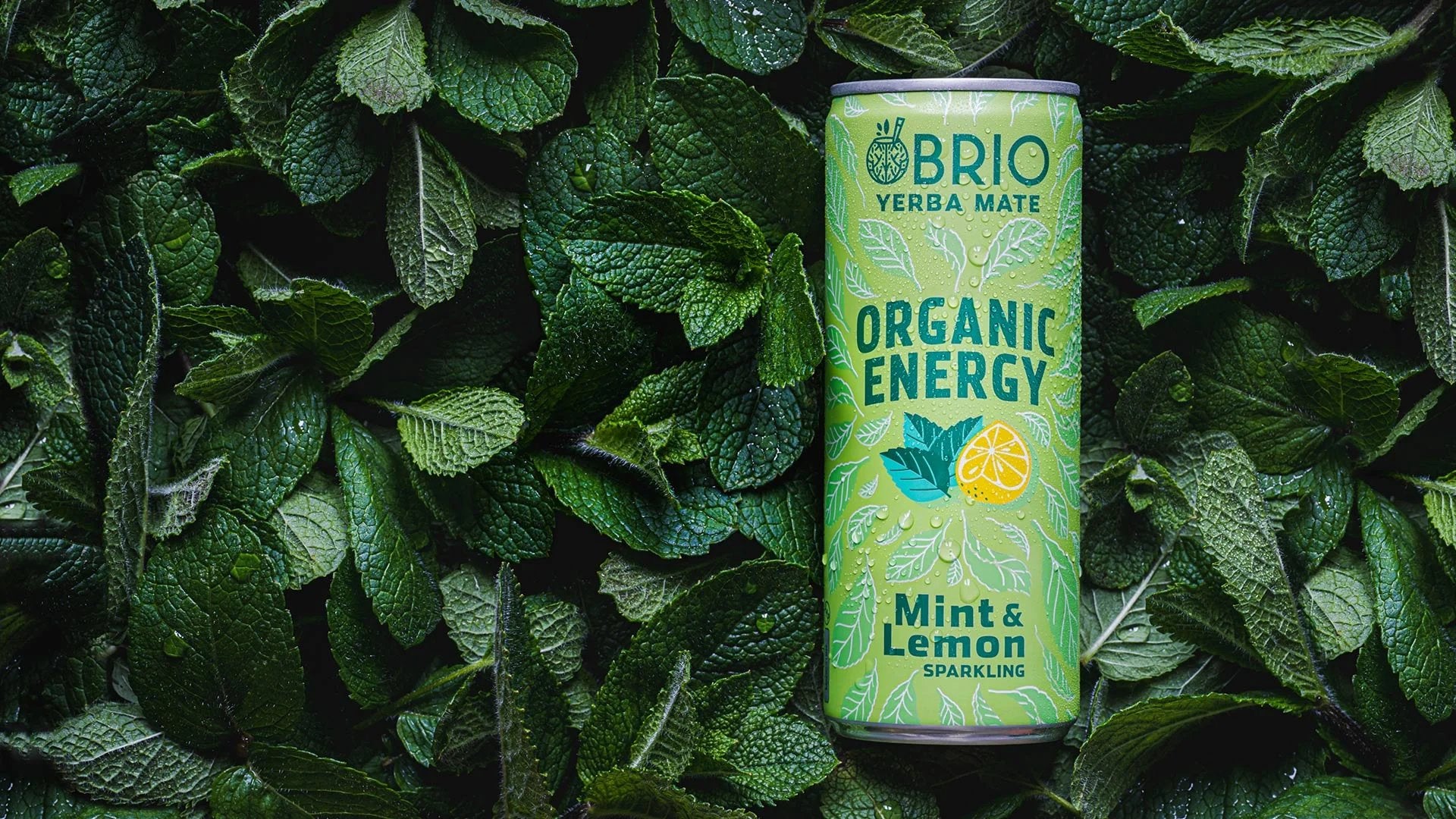 Brio Maté Energy Drink Naturel Bio mint lemon background