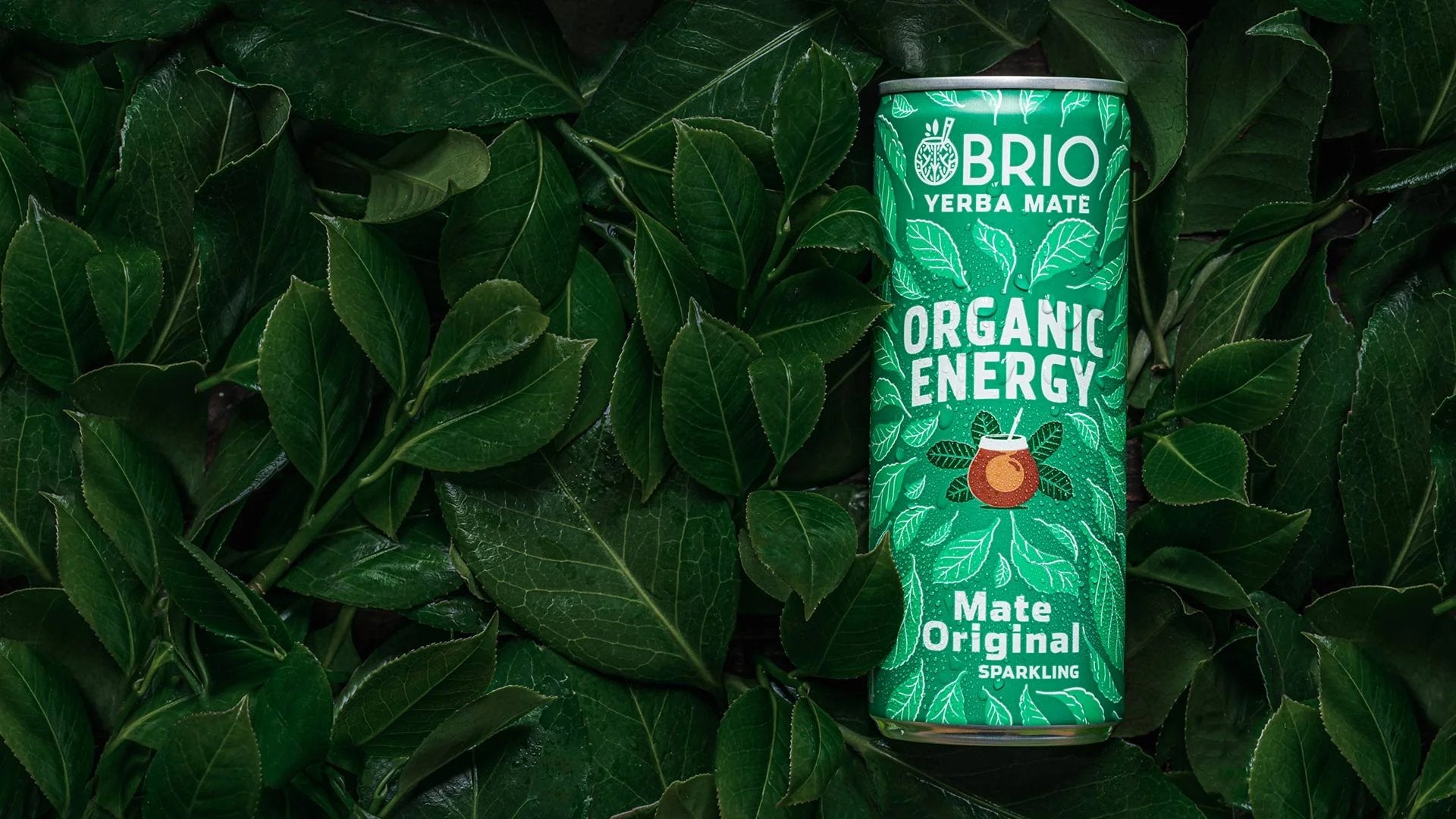 Brio Maté Energy Drink Naturel Bio canette 250ml feuilles yerbamaté original landscape