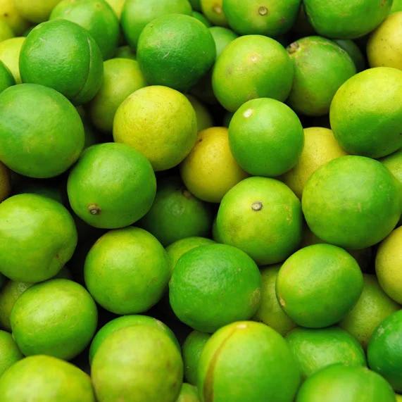 Brio Maté Energy Drink Naturel Bio citrons verts
